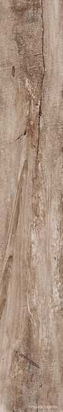 Soft Brown|15x100