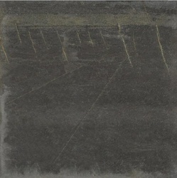 Bet Next Dusk ZZ|60x60