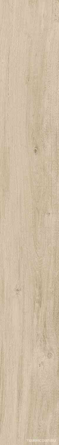 DAMA6 2015B RM 20x150