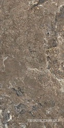 Golden Porphyry  Struct ZZ 60x120  