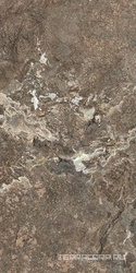 Golden Porphyry  Struct ZZ 60x120  