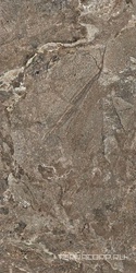 Golden Porphyry  Struct ZZ 60x120  