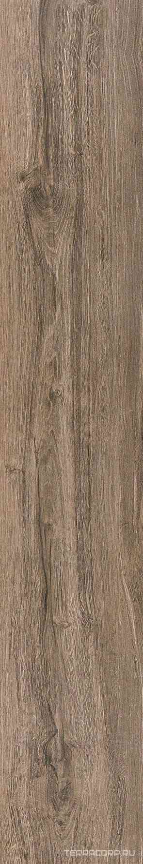 Rovere Brown 8x44,2 XX
