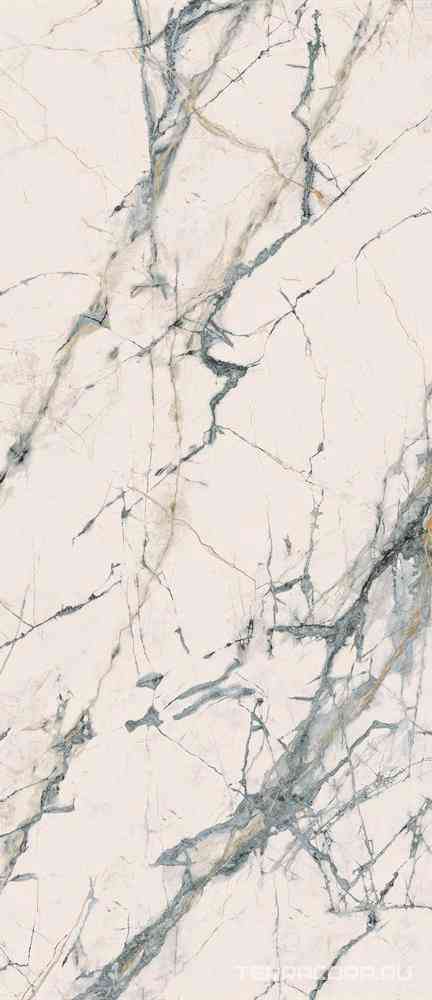INV WH6 278 LP  120x278