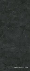Керамогранит Atlas Concorde Italy Marvel Onyx  Noir 6mm  Lapp. 120x278 Черный 