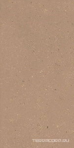 Керамогранит Dado Ceramica Geology  Cotto 60x120 Коричневый 