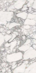 Керамогранит Fusure Ceramic Luxury Stone  SS12046 Pol 60x120 Белый 