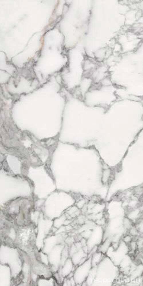 Керамогранит Fusure Ceramic Luxury Stone SS12046 Pol 60x120 Белый, фото 6