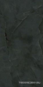 Керамогранит Atlas Concorde Italy Marvel Onyx  Noir  Lapp. 60x120 Черный 