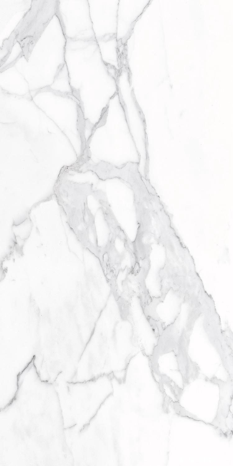 Керамогранит Alpas Euro Eco Marble 6291 Polished 60x120 Белый, фото 5