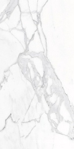 Керамогранит Alpas Euro Eco Marble  6291 Polished 60x120 Белый 