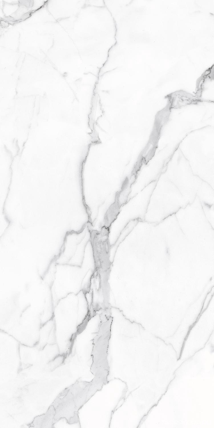 Керамогранит Alpas Euro Eco Marble 6291 Polished 60x120 Белый, фото 6