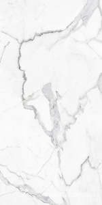 Керамогранит Alpas Euro Eco Marble  6291 Polished 60x120 Белый 