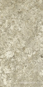 Керамогранит AtlasConcorde Россия FORTE DEI MARMI QUARK F.d.M.Quark Braz. Gold Rett 60x120/Ф.Д.М.Кварк Браз. Голд Рет 60Х120 Бежевый 