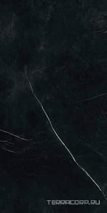 Керамогранит AtlasConcorde Россия FORTE DEI MARMI F.d.M. Elegant B. 80x160 Lapp/Ф.Д.М. Элегант Б. 80Х160 Лап Черный 