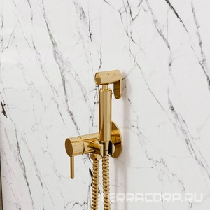 Гигиенический душ со смесителем, внутренняя часть в компл., глянцевое золото PVD, ZZ Wasserkraft Sauer A70738