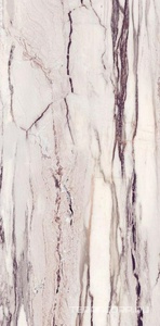 Керамогранит Sant Agostino Star  Marble Purple 60120 (п.п.) Kry 60x120 Комбинированный 