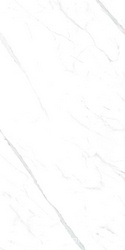 Statuario white 60x120