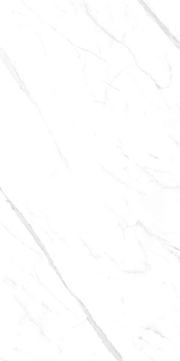 Statuario white 60x120