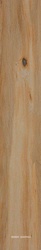 Leccio Classico KL 20x120