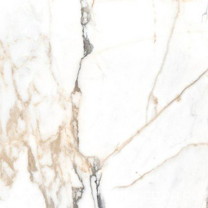 Керамогранит Alpas Euro Eco Marble  6582 Polished 60x60 Белый 