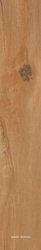Leccio Oliato KL 20x120