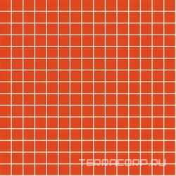 Vetricolor plus 20.99 ZZ |2x2