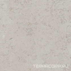 Про Лаймстоун серый светлый натуральный обрезной |60х60