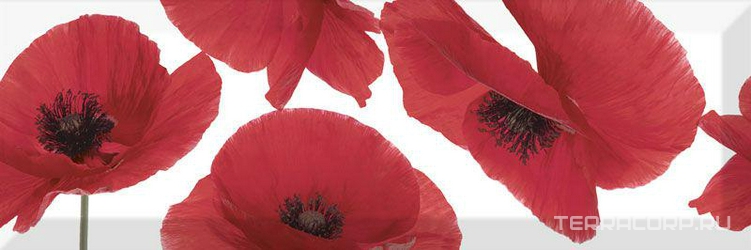 Dec. Poppy XX |15x45