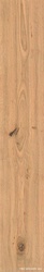 Log Icon Oak 20x120