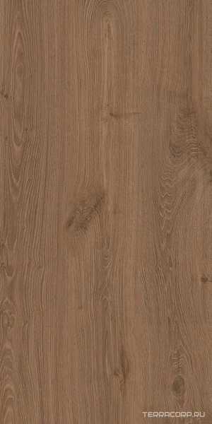Alavesa AV03 moka неполир. 80x160