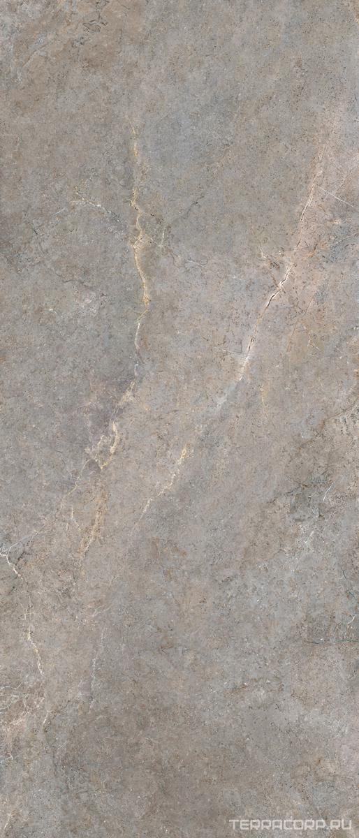 Керамогранит Lea Ceramiche Anthology Slimtech Anthology 03 Earth Nat 120x278 Серый, фото 7