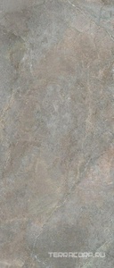 Керамогранит Lea Ceramiche Anthology Slimtech Anthology 03 Earth Nat 120x278 Серый 