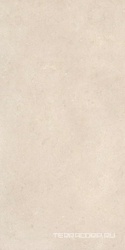 Serica Ivory 60x120