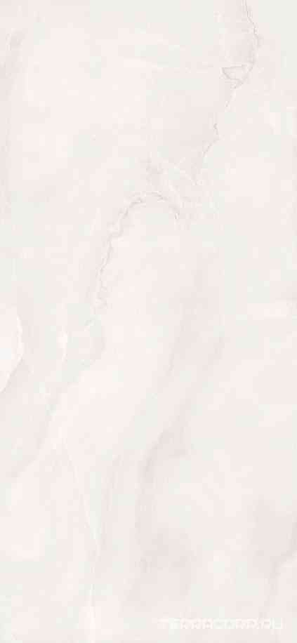 Abs Wh6 278 RM  120x278