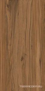 Керамогранит Kerranova Alleya  2104  Структурированный 60x120 Коричневый 