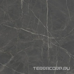 Буонарроти серый темный обрезной |60x60