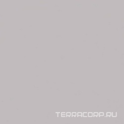 Моноколор серый ZZ|40x40