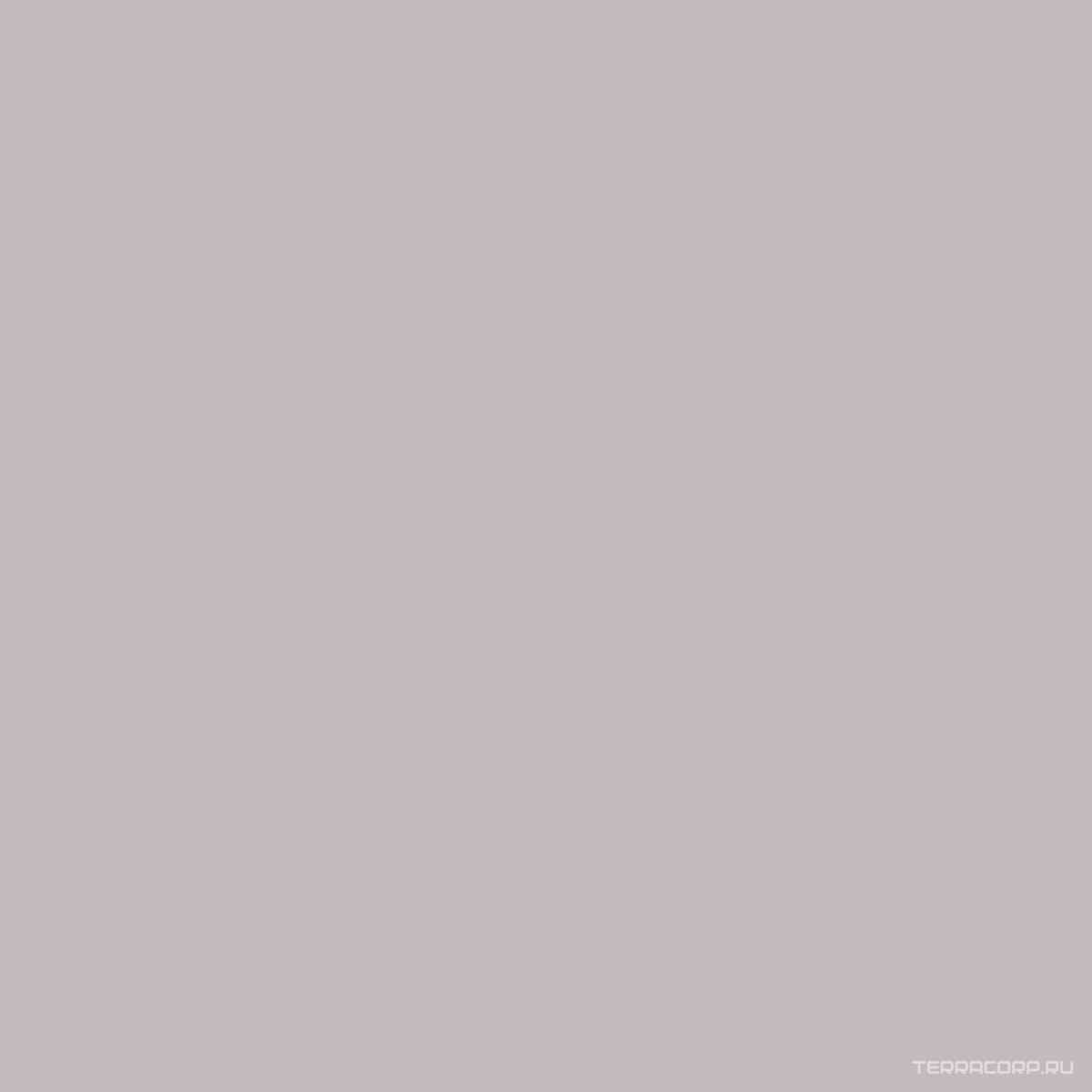 Моноколор серый ZZ|40x40