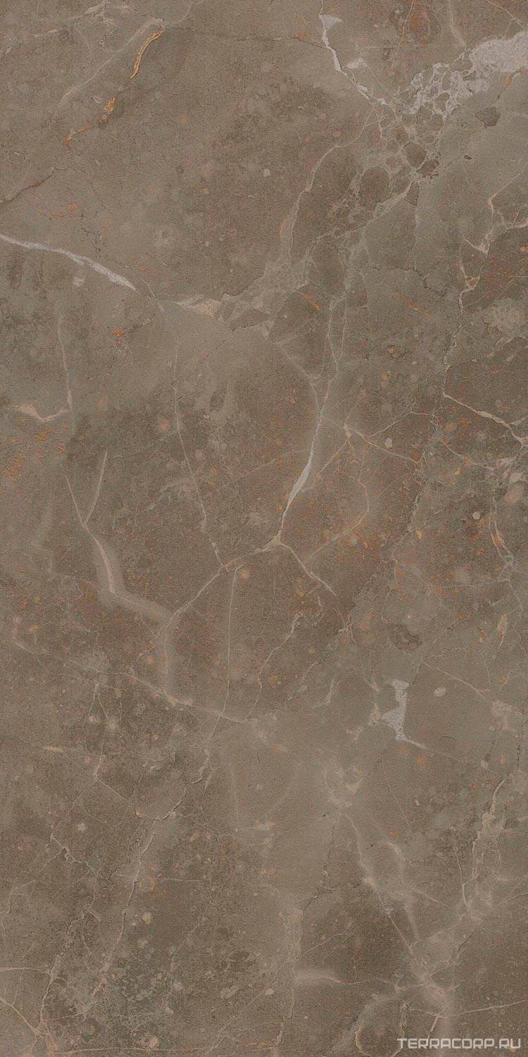 Керамогранит AtlasConcorde Россия Supernova Stone S.S. Grey Wax 60x120 / С.С. Грей 60х120 Вакс Рет. Серый, фото 3