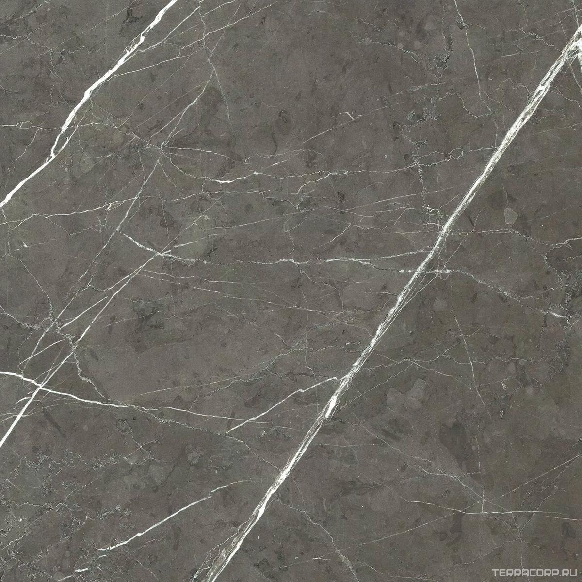 Керамогранит Florim Prexious of Rex Charming Amber Glossy 60x60 Серый, фото 6