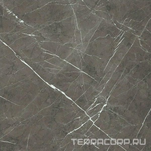 Керамогранит Florim Prexious of Rex Charming Amber Glossy 60x60 Серый 