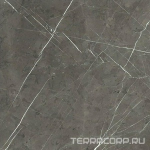 Керамогранит Florim Prexious of Rex Charming Amber Glossy 60x60 Серый 