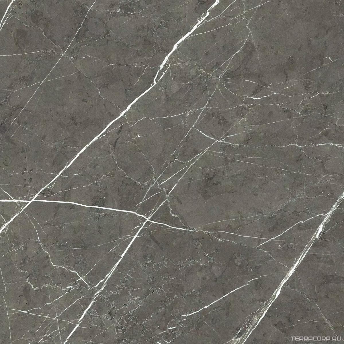Керамогранит Florim Prexious of Rex Charming Amber Glossy 60x60 Серый, фото 5