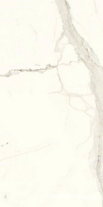 Керамогранит Ariostea Marmi Classici Bianco Calacatta Luc 60x120 Белый 