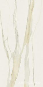 Керамогранит Florim Magnum I Classici di Rex Calacatta Gold Glossy 160x320 Белый 