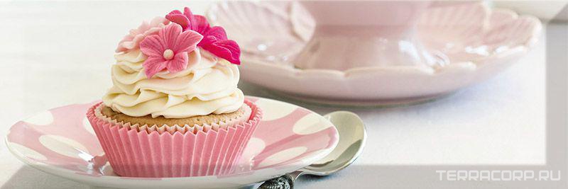 Керамическая плитка Absolut Keramika Monocolor 10x30 Decor Meringue 01 10x30 Комбинированный, фото 3