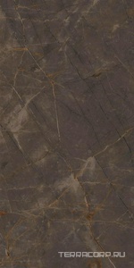 Керамогранит Ariostea Marmi Classici Pulpis Grey Soft 60x120 Серый 