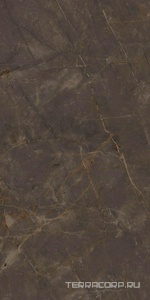 Керамогранит Ariostea Marmi Classici Pulpis Grey Soft 60x120 Серый 