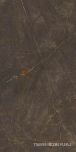 Керамогранит Ariostea Marmi Classici Pulpis Grey Soft 60x120 Серый 